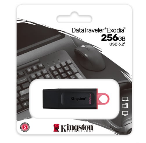 kingston datatraveler exodia 256 GB USB 3.2