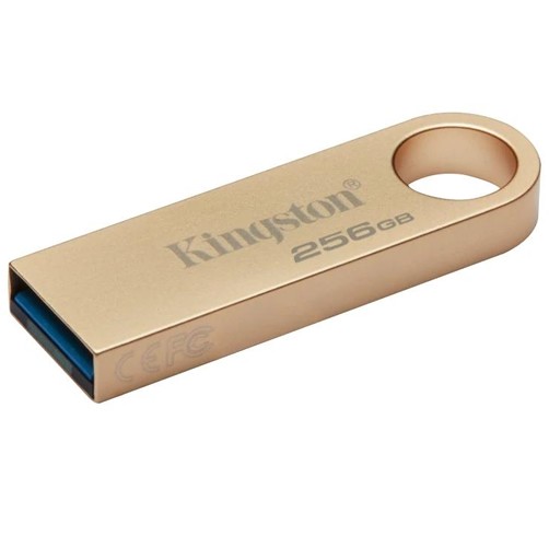 Kingston 256 GB DataTraveler SE9 G3 USB 3.2 - DTSE9G3/256GB