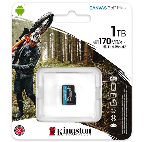 Kingston Canvas GO! Plus 1 TB