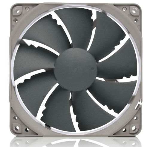 Noctua 