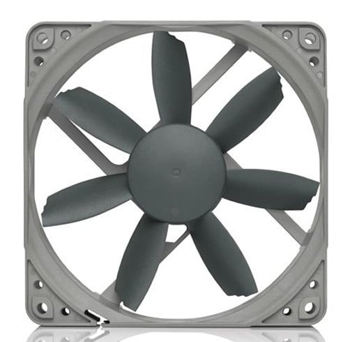 Noctua