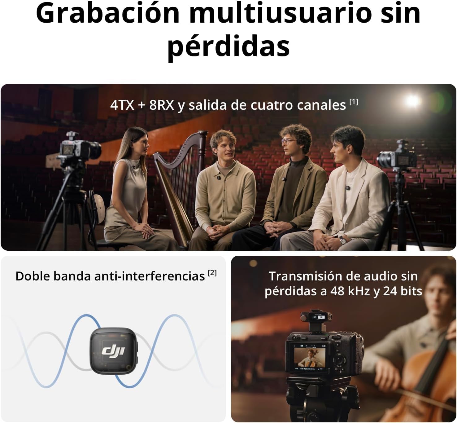 Producto Principal Vista General