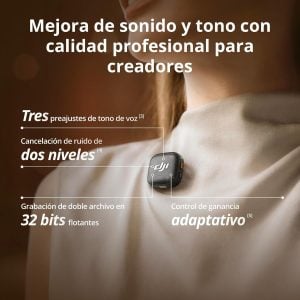 Vista Detallada 1