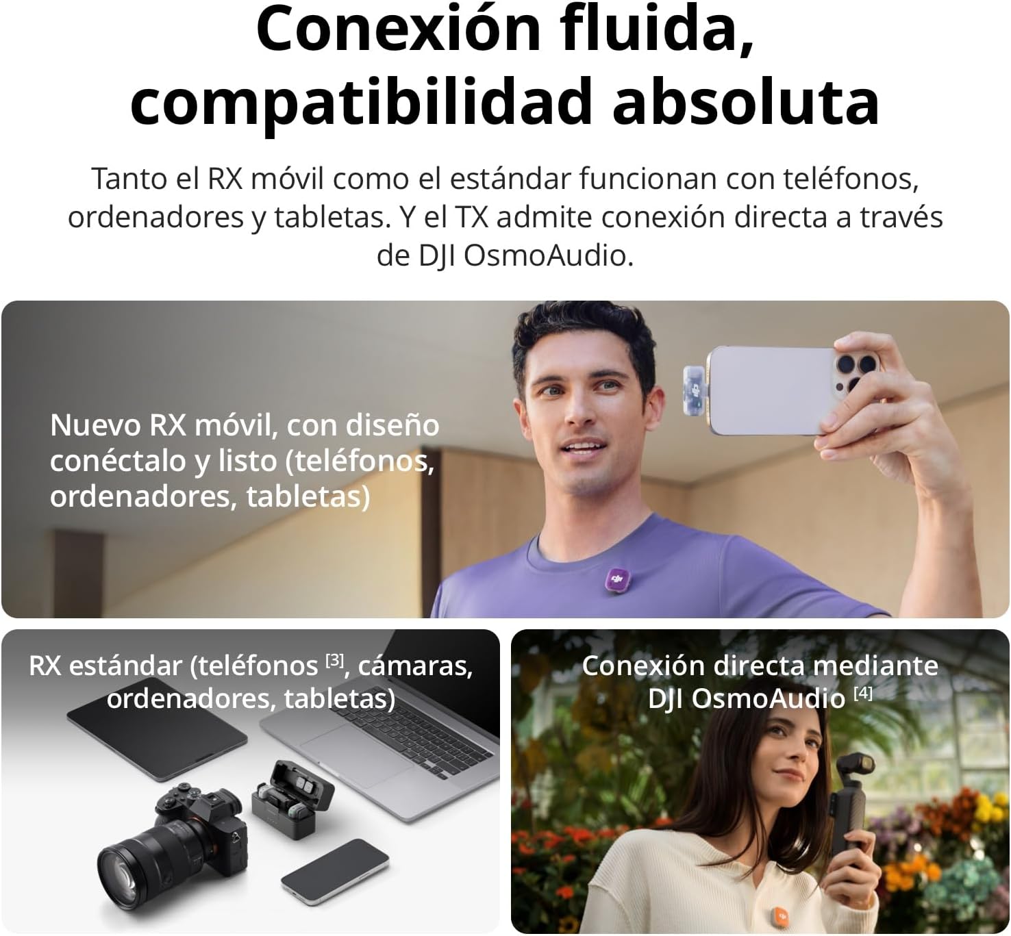 Vista Detallada 1